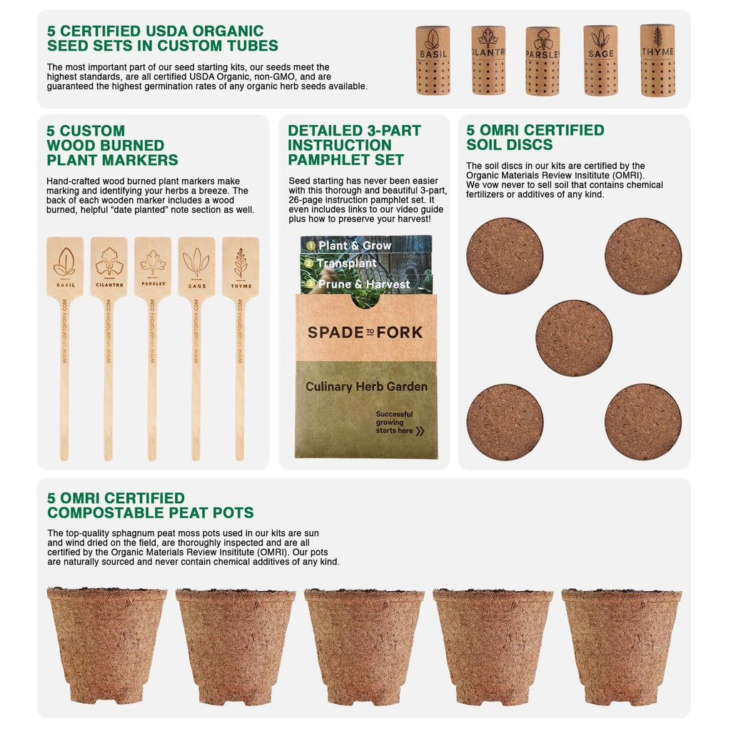 Spade to Fork Organic Home Garden Seed Kit Culinary Herbs V05 - Spade to Fork